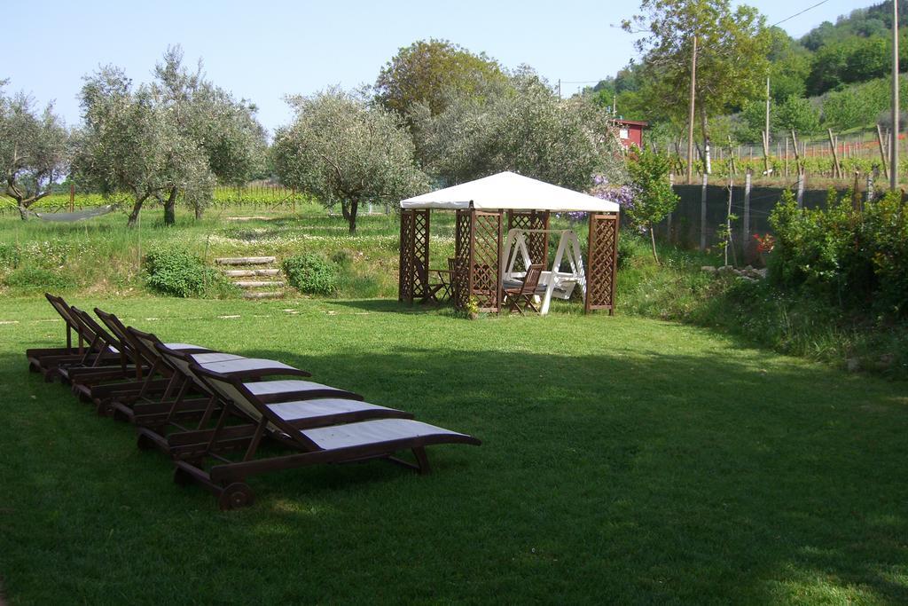 Tenuta Carbognano Gemmano Esterno foto