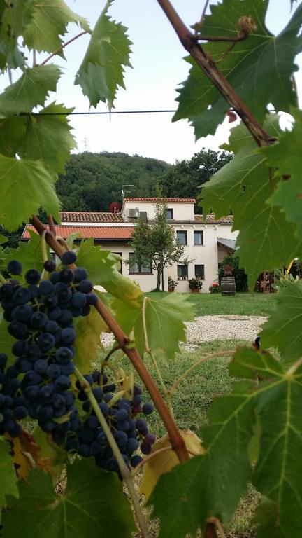 Tenuta Carbognano Gemmano Esterno foto